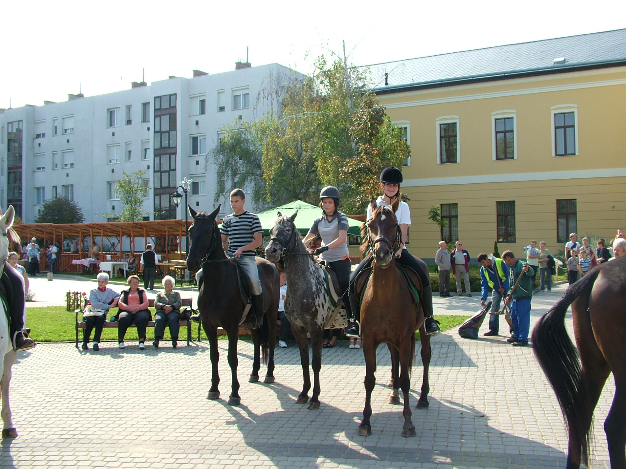 http://kulturszalon.hu/sites/default/files/field/image/LovaTiszavasvari.jpg