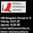http://kulturszalon.hu/sites/default/files/field/image/szinhazlogo_1.jpg